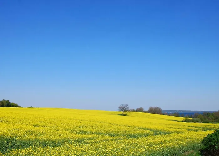 Meine Ecke 2 Lägenhet